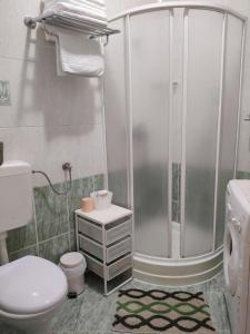 a bathroom with a shower and a toilet at Apartment Fiume in Rijeka