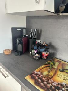 CityLake G23 Apartments في غموندين: كونتر مطبخ مع كونتر توب مع آلة صنع القهوة