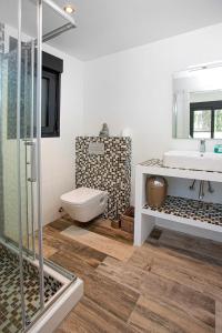 een badkamer met een toilet, een wastafel en een douche bij Casa Scorpio in Jávea