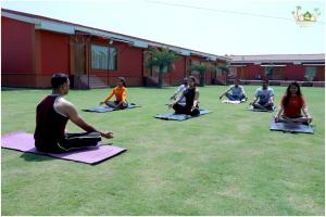 a group of people doing yoga on the grass at Sahib Farms and Resorts in Delhi