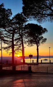 una puesta de sol con dos árboles en una playa en Antica residenza La Rocca en Montefiascone