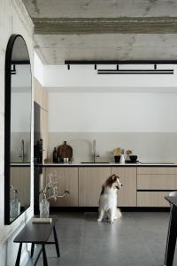 a dog sitting on the floor in a kitchen at Mr. Rothschild by TLV2GO in Tel Aviv