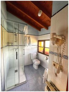 łazienka z prysznicem i toaletą w obiekcie Casa Rural Los campos w mieście Corao
