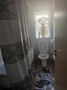 a bathroom with a toilet and a shower curtain at Beautiful 1-Bed House in Manchester in Manchester