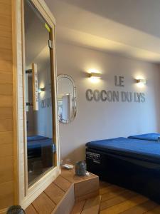 Habitación con cama y espejo. en Le Lys Ecossais, en Aubigny-sur-Nère