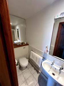 a bathroom with a toilet and a sink and a mirror at Yr Hen Fecws in Porthmadog