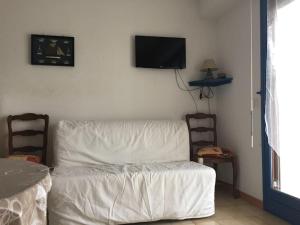 TV a/nebo společenská místnost v ubytování Grand Studio rez de jardin avec parking à 5 min à pieds de la mer et commerces