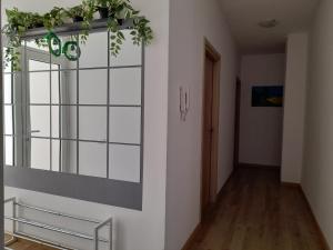 a room with a window and a plant at CASA MONTEFINESE in Casamassima