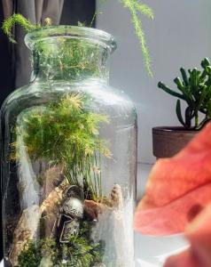 Fotografie z fotogalerie ubytování Friendly little studio v destinaci Brašov