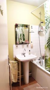瑟堡昂科唐坦的住宿－Chambre Rafaël chez particulier，浴室配有盥洗盆、镜子和浴缸