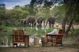 ティムババティ野生保護区にあるTanda Tula Safari Campのギャラリーの写真