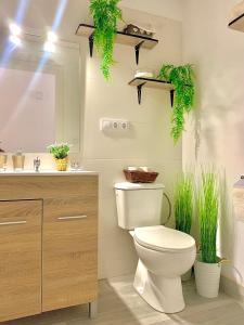 uma casa de banho com WC e um lavatório com plantas em Violeta loft B chill out Sevilla em Sevilha