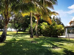 um grupo de palmeiras num quintal em Honey & Sweet Dream - lagon de l'Ermitage avec piscine em Saint-Paul