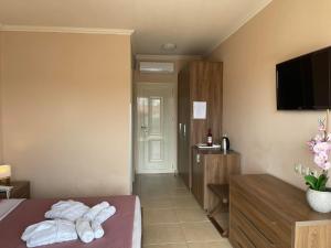 Sjónvarps- og/eða afþreyingartæki á Orchidea Hotel