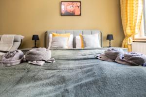 The Olive Home 1065 Budapest, 7 Lázár utca kép - 2