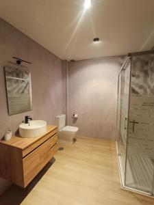 La salle de bains est pourvue de toilettes, d'un lavabo et d'une douche. dans l'établissement Casa Alda, à Cabezuela