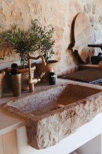 un lavandino in pietra con piante in vaso sopra di milenyum travel a Şile