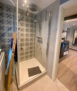 a shower with a glass door in a bathroom at Little Lopsi in Detmold