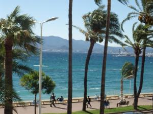 a view of the beach and palm trees at Appartement Rottaro luxueux 2 ch 2 sdb face à la mer in Cannes