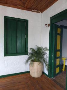 a plant in a room next to a green door at BOSQUE DE NIEBLA in Pijao
