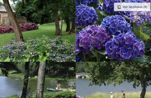 Zahrada ubytování Studio, sur le Chemin des Hortensias