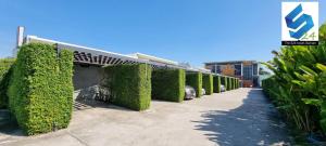 une rangée de buissons sur le côté d'un bâtiment dans l'établissement The S24 Resort Buriram, à Buriram