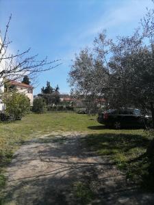 Fotografie z fotogalerie ubytování Carpe Diem Ierissos v destinaci Ierissós