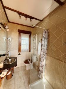 a bathroom with a sink and a toilet and a shower at La Garrocha in Colmenar del Arroyo