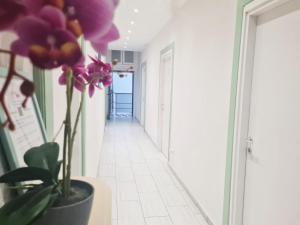 Kép EASYROOMS ONE szállásáról Parmában a galériában
