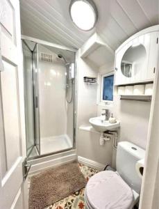 a bathroom with a shower and a toilet and a sink at No. 4 Sunny Lodge By The Sea in Aberystwyth