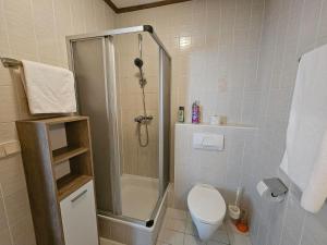 a bathroom with a shower and a toilet at Apartment Aleks in Bach