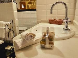 a bathroom sink with a roll of towels on it at Hotel Palacio La Cajiga in Abándames