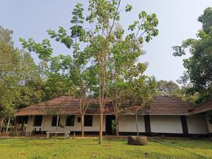 a house with a tree in front of it at Svarna Heritage in Kalyānpur