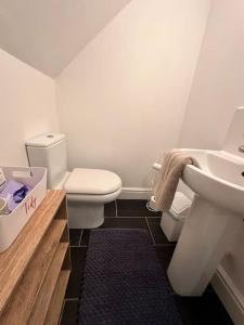 La salle de bains est pourvue de toilettes et d'un lavabo. dans l'établissement Stunning studio flat with own large garden in Shrewsbury SLEEPS 2, à Shrewsbury