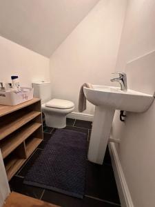 La salle de bains est pourvue d'un lavabo et de toilettes. dans l'établissement Stunning studio flat with own large garden in Shrewsbury SLEEPS 2, à Shrewsbury