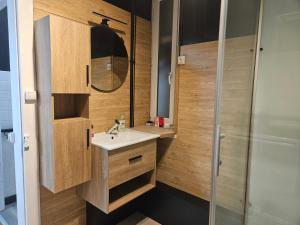 een badkamer met een wastafel en een douche bij Appartement Chaleureux Gérardmer proche forêt in Gérardmer +19 foto's