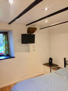 a bedroom with a bed and a flat screen tv on the wall at Manoir De Saint Ceran Au Royaume De Louango in Lanrivain