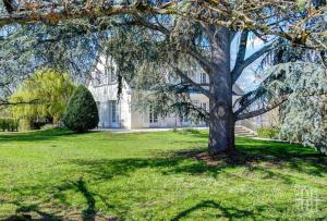 a tree in front of a white house at L'élégante/Belle Villa Familiale in Saint-Avertin