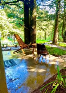 dos bancos de madera sentados junto a un árbol en Cabaña Hermosa Bosque Fraccionamiento Privado, en Mineral del Chico