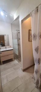 La salle de bains est pourvue d'une douche, d'un lavabo et d'un miroir. dans l'établissement Charmant T2 à 50m du lagon, à Étang-Salé les Bains