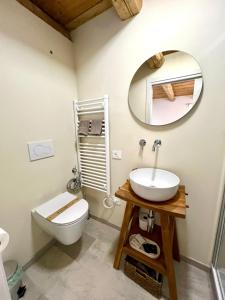 a bathroom with a toilet and a sink and a mirror at La Piolsa in Claut +11 photos