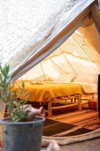馬拉喀什的住宿－La Ferme des Tipis Marrakech，帐篷内的一张床位,配有盆栽植物