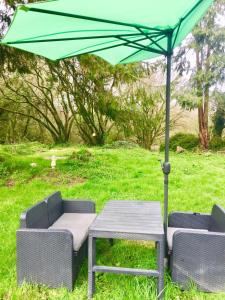 a table and two chairs with a green umbrella at Manoir Le Rest in Lanrivain