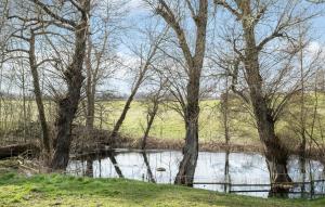 a body of water with trees next to a river at 1 Bedroom Awesome Apartment In Grevinge in Grevinge +2 photos