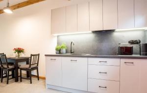 Η κουζίνα ή μικρή κουζίνα στο Cozy Home In Rowy With Kitchen