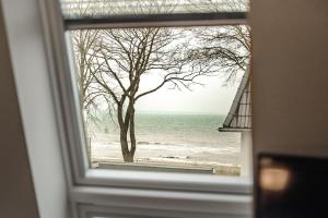 a window with a view of a tree and the ocean at Beach House Penthousewohnung Düne in Timmendorfer Strand
