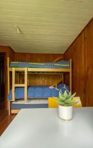 two bunk beds in a room with a table at Casa Dalpa Pucón in Pucón