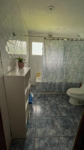 a bathroom with a toilet and a shower curtain at Casa Dalpa Pucón in Pucón