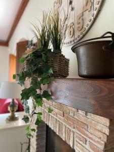 Foto dalla galleria di Tenuta Agave ad Ardea