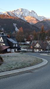 a road in a town with houses and a mountain at Willa U Kośle 2 in Zakopane